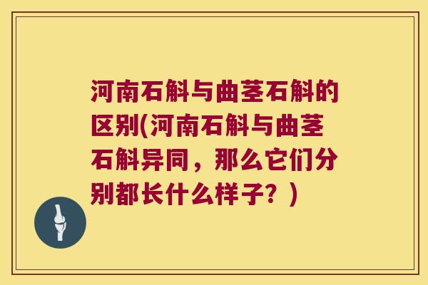河南石斛与曲茎石斛的区别(河南石斛与曲茎石斛异同，那么它们分别都长什么样子？)