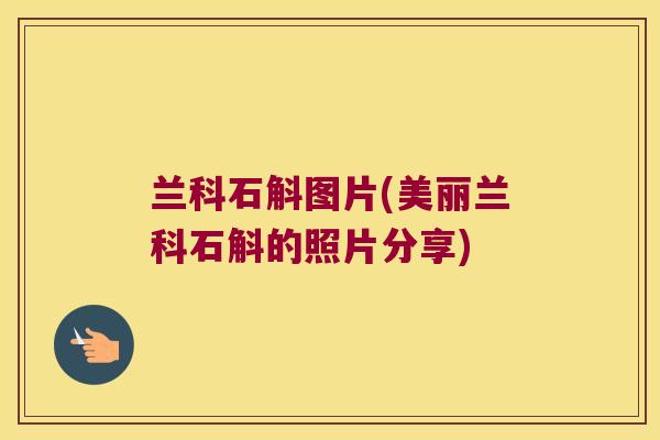 兰科石斛图片(美丽兰科石斛的照片分享)