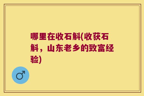 哪里在收石斛(收获石斛，山东老乡的致富经验)