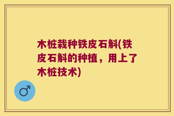 木桩栽种铁皮石斛(铁皮石斛的种植，用上了木桩技术)