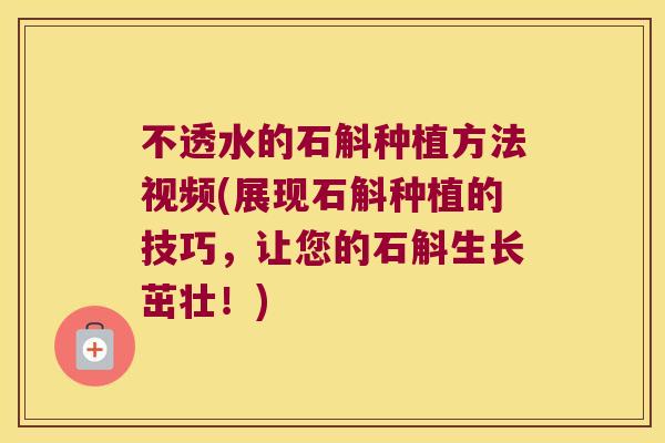 不透水的石斛种植方法视频(展现石斛种植的技巧，让您的石斛生长茁壮！)
