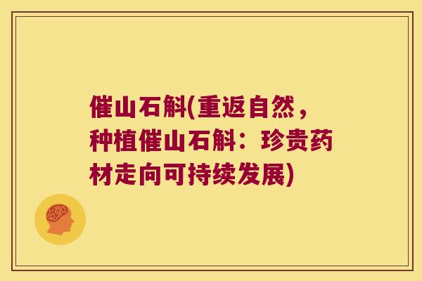 催山石斛(重返自然，种植催山石斛：珍贵药材走向可持续发展)