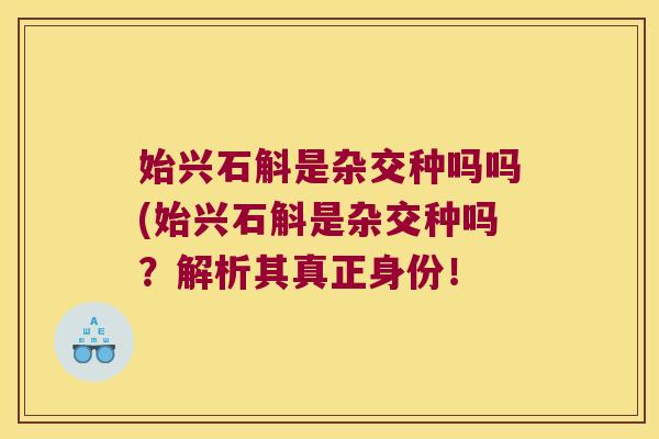 始兴石斛是杂交种吗吗(始兴石斛是杂交种吗？解析其真正身份！