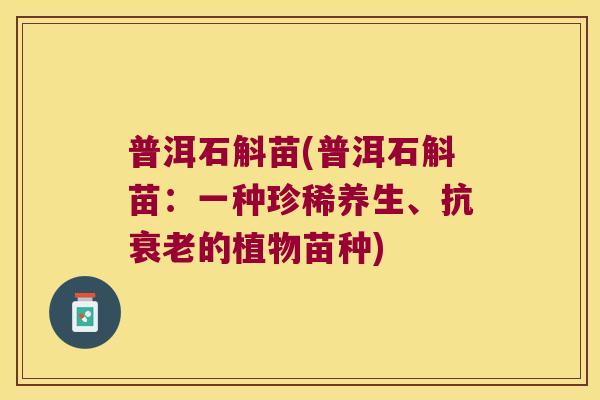 普洱石斛苗(普洱石斛苗：一种珍稀养生、抗衰老的植物苗种)