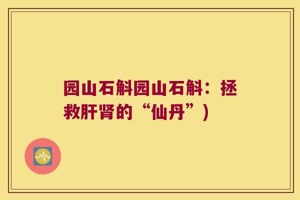 园山石斛园山石斛：拯救肝肾的“仙丹”)