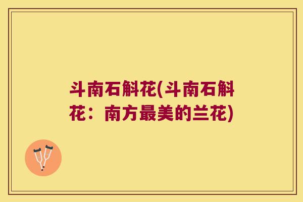 斗南石斛花(斗南石斛花：南方最美的兰花)