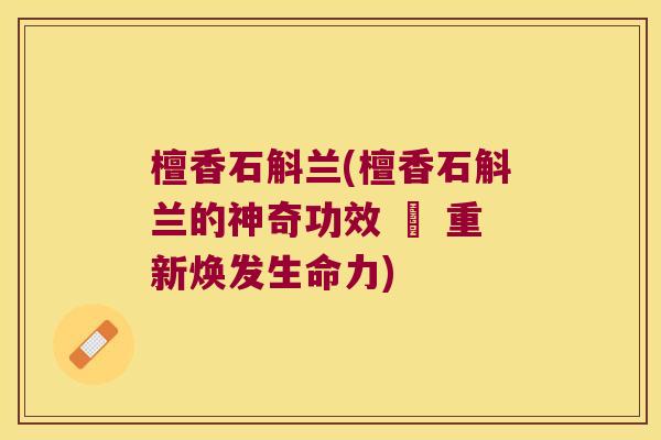 檀香石斛兰(檀香石斛兰的神奇功效 – 重新焕发生命力)