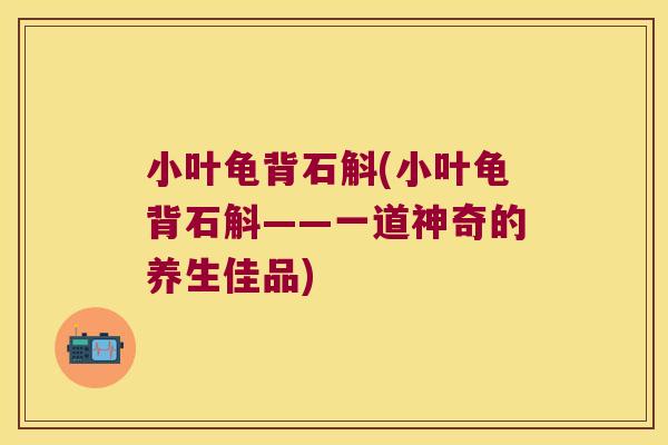 小叶龟背石斛(小叶龟背石斛——一道神奇的养生佳品)