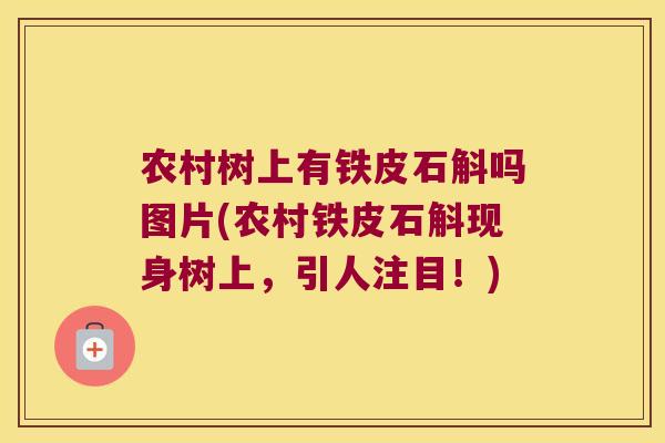 农村树上有铁皮石斛吗图片(农村铁皮石斛现身树上，引人注目！)
