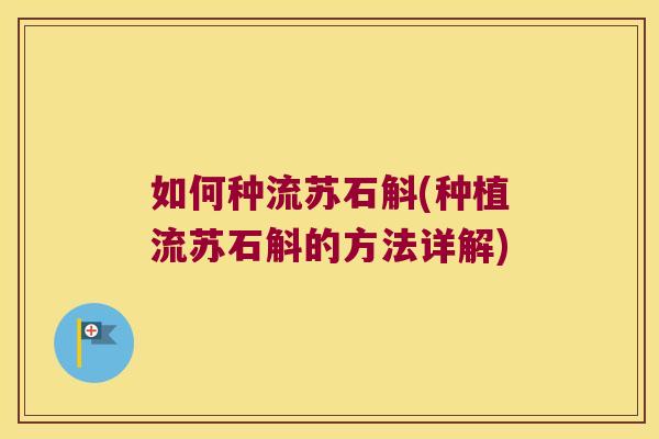 如何种流苏石斛(种植流苏石斛的方法详解)