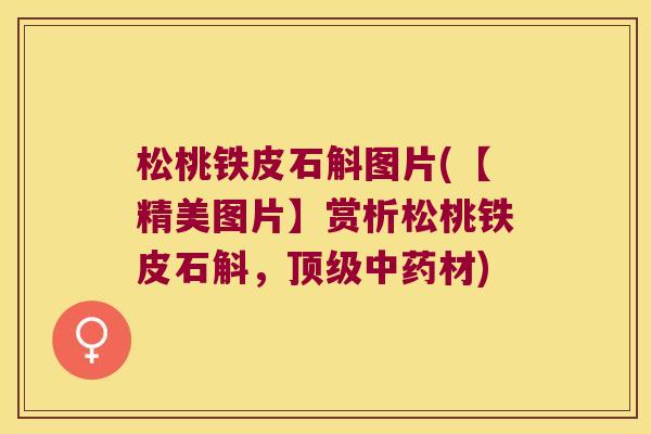 松桃铁皮石斛图片(【精美图片】赏析松桃铁皮石斛，顶级中药材)