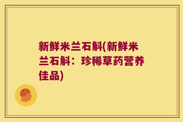 新鲜米兰石斛(新鲜米兰石斛：珍稀草药营养佳品)