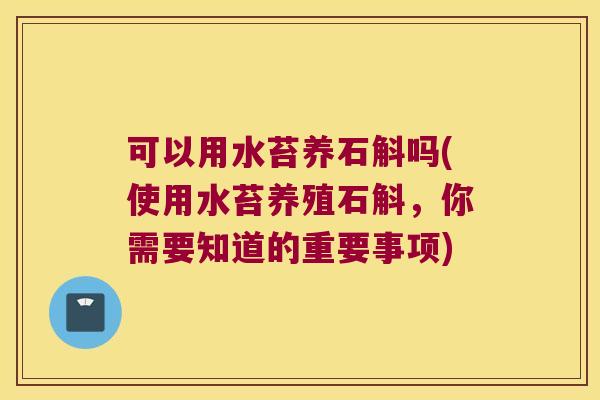 可以用水苔养石斛吗(使用水苔养殖石斛，你需要知道的重要事项)