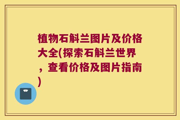 植物石斛兰图片及价格大全(探索石斛兰世界，查看价格及图片指南)
