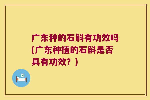 广东种的石斛有功效吗(广东种植的石斛是否具有功效？)