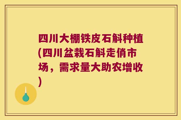 四川大棚铁皮石斛种植(四川盆栽石斛走俏市场,需求量大助农增收) 四川大棚铁皮石斛种植(四川盆栽石斛走俏市场,需求量大助农增收)