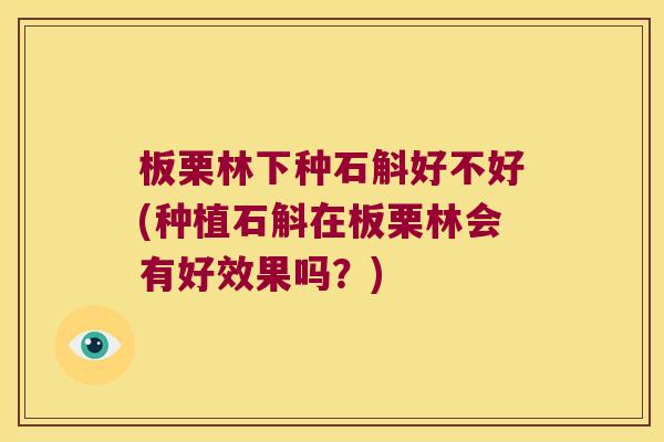 板栗林下种石斛好不好(种植石斛在板栗林会有好效果吗?) 板栗林下种石斛好不好(种植石斛在板栗林会有好效果吗?)
