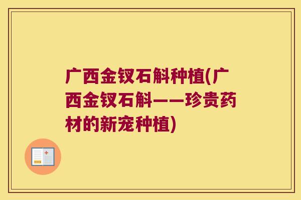 广西金钗石斛种植(广西金钗石斛——珍贵药材的新宠种植)