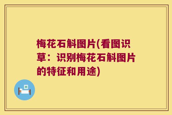 梅花石斛图片(看图识草：识别梅花石斛图片的特征和用途)