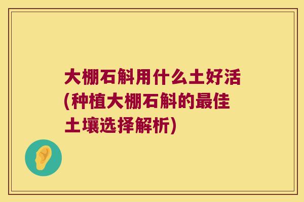 大棚石斛用什么土好活(种植大棚石斛的最佳土壤选择解析)