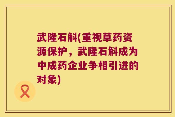武隆石斛(重视草药资源保护，武隆石斛成为中成药企业争相引进的对象)