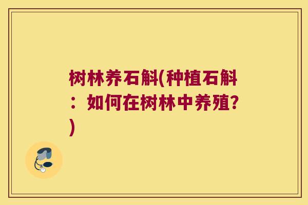 树林养石斛(种植石斛：如何在树林中养殖？)