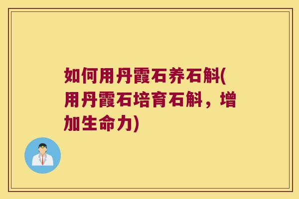 如何用丹霞石养石斛(用丹霞石培育石斛，增加生命力)