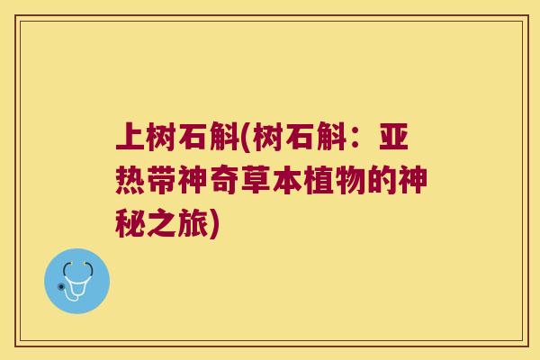 上树石斛(树石斛：亚热带神奇草本植物的神秘之旅)