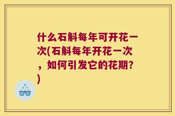 什么石斛每年可开花一次(石斛每年开花一次，如何引发它的花期？)