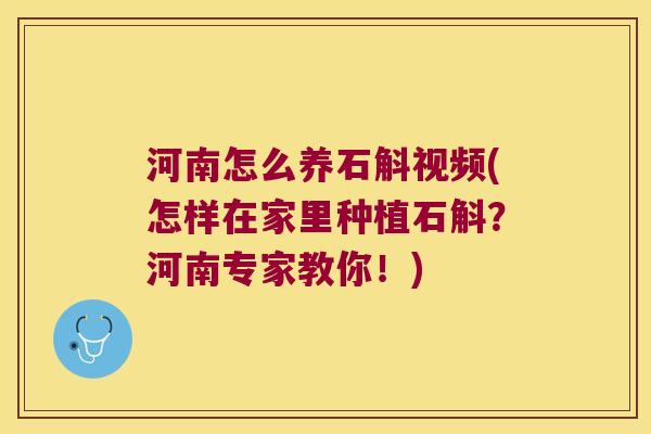 河南怎么养石斛视频(怎样在家里种植石斛？河南专家教你！)