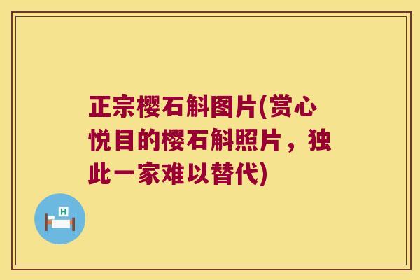 正宗樱石斛图片(赏心悦目的樱石斛照片，独此一家难以替代)