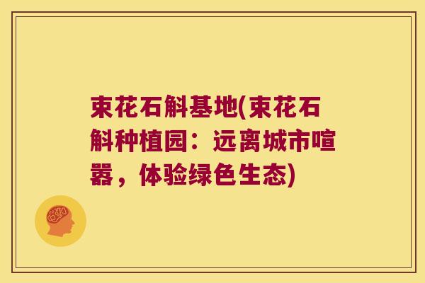 束花石斛基地(束花石斛种植园：远离城市喧嚣，体验绿色生态)