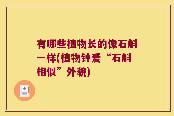 有哪些植物长的像石斛一样(植物钟爱“石斛相似”外貌)