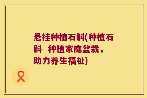悬挂种植石斛(种植石斛  种植家庭盆栽，助力养生福祉)