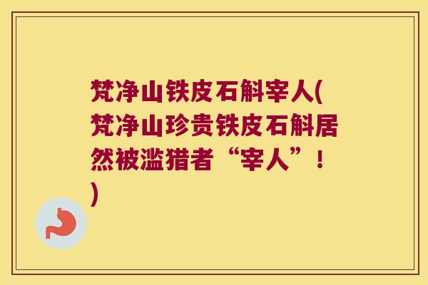 梵净山铁皮石斛宰人(梵净山珍贵铁皮石斛居然被滥猎者“宰人”！)