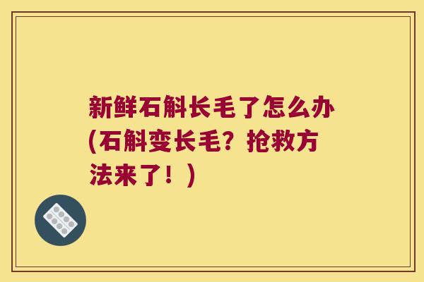 新鲜石斛长毛了怎么办(石斛变长毛？抢救方法来了！)