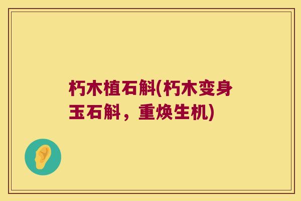 朽木植石斛(朽木变身玉石斛，重焕生机)