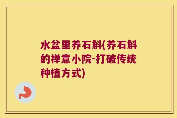 水盆里养石斛(养石斛的禅意小院-打破传统种植方式)