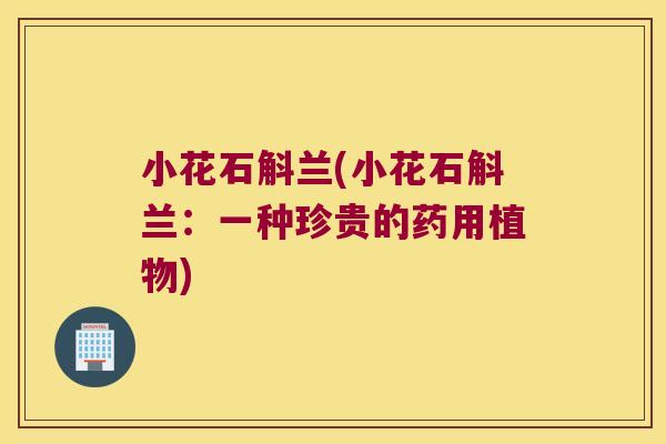 小花石斛兰(小花石斛兰：一种珍贵的药用植物)