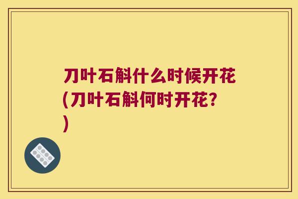 刀叶石斛什么时候开花(刀叶石斛何时开花？)