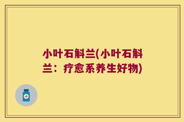 小叶石斛兰(小叶石斛兰：疗愈系养生好物)