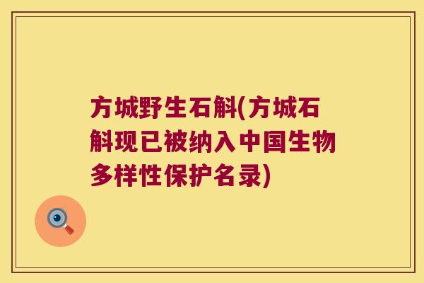 方城野生石斛(方城石斛现已被纳入中国生物多样性保护名录)