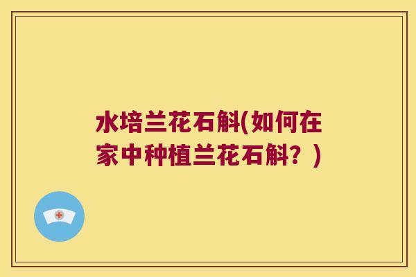 水培兰花石斛(如何在家中种植兰花石斛？)
