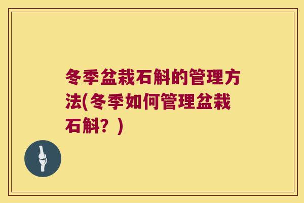冬季盆栽石斛的管理方法(冬季如何管理盆栽石斛？)