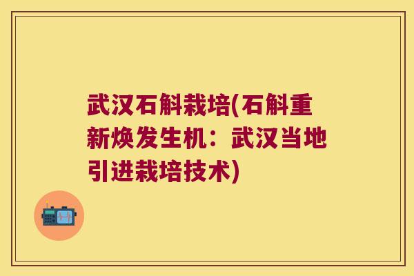 武汉石斛栽培(石斛重新焕发生机：武汉当地引进栽培技术)