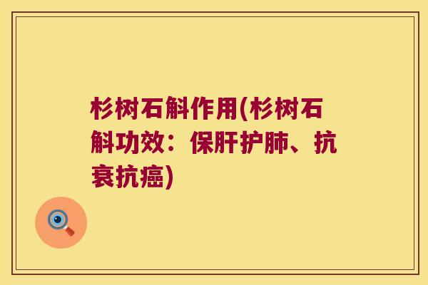 杉树石斛作用(杉树石斛功效：护、抗衰抗)
