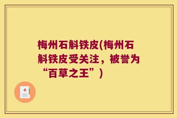 梅州石斛铁皮(梅州石斛铁皮受关注，被誉为“百草之王”)