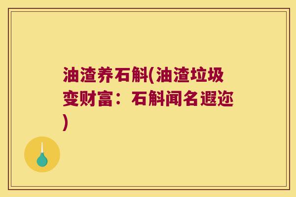 油渣养石斛(油渣垃圾变财富:石斛闻名遐迩) 油渣养石斛(油渣垃圾变财富:石斛闻名遐迩)