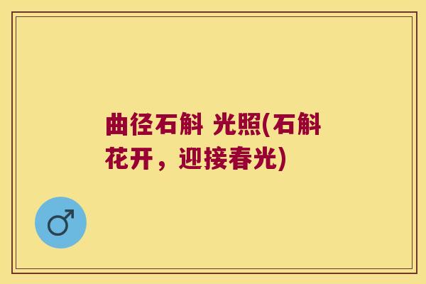 曲径石斛 光照(石斛花开，迎接春光)