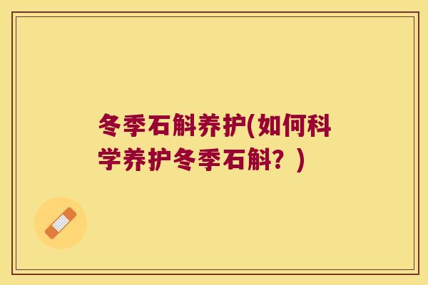 冬季石斛养护(如何科学养护冬季石斛？)